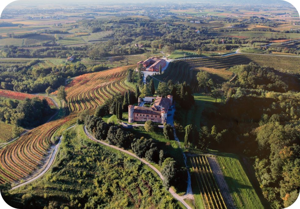 Panoramabild von Weinbergen der Kellerei Rocca Bernarda.