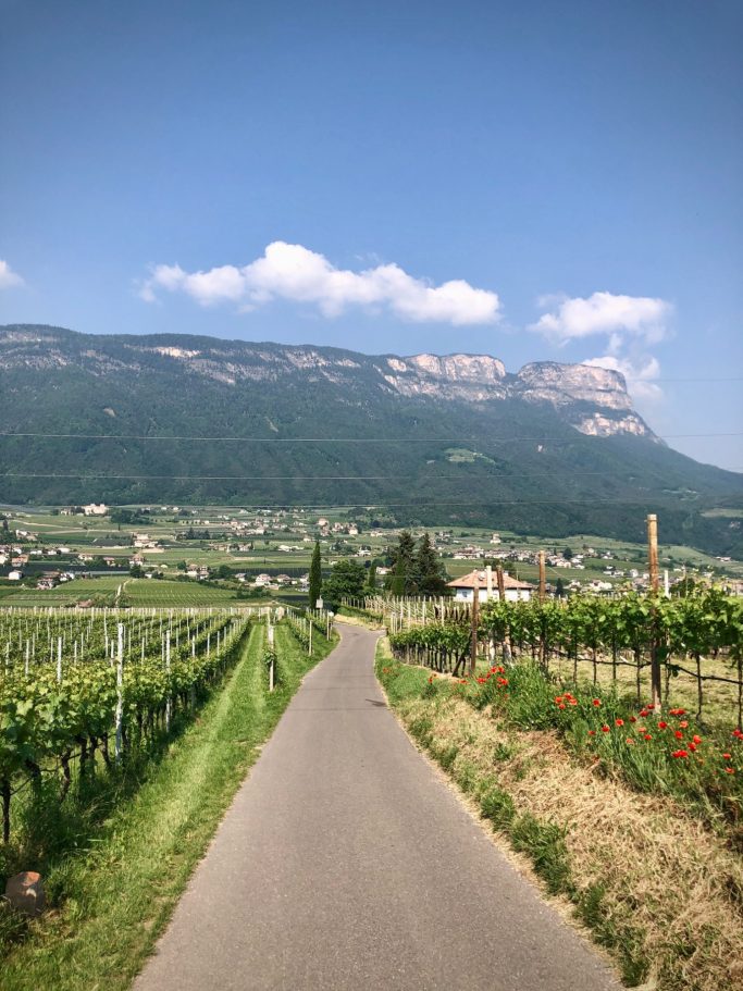 Foto von einer Landstraße in Südtirol. Auf dem Weg zur Cantina Tolloy.