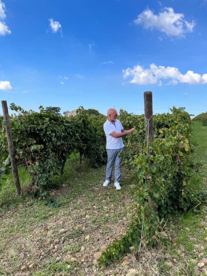 Foro von Mario von der Cantina24 in einem Weinberg der Villa Carumé.