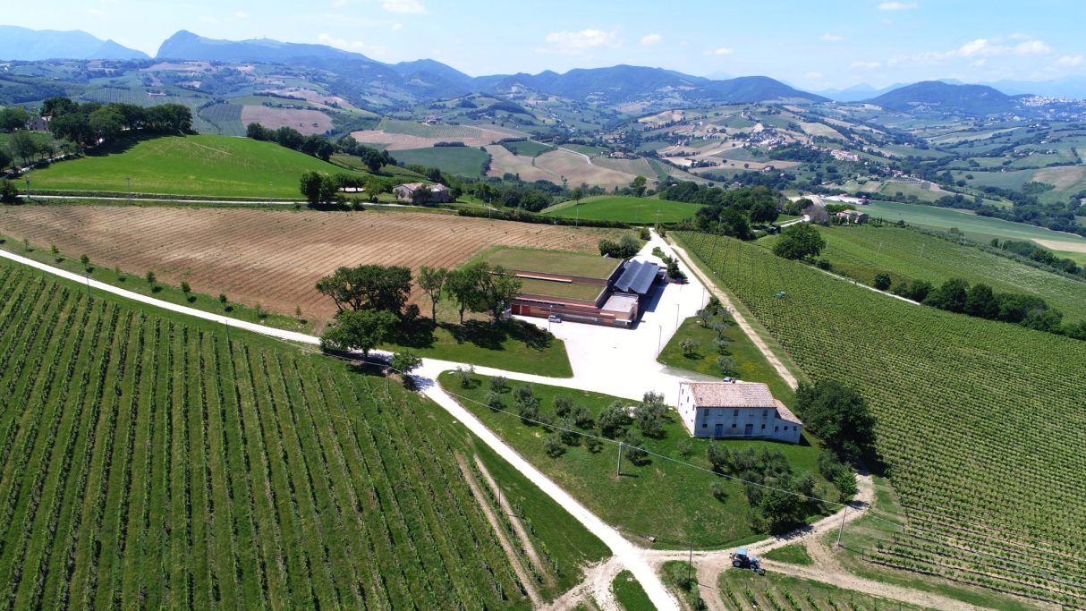 Das Betriebsgebäude der Kellerei Casal Farneto inmitten ihrer Weinberge.